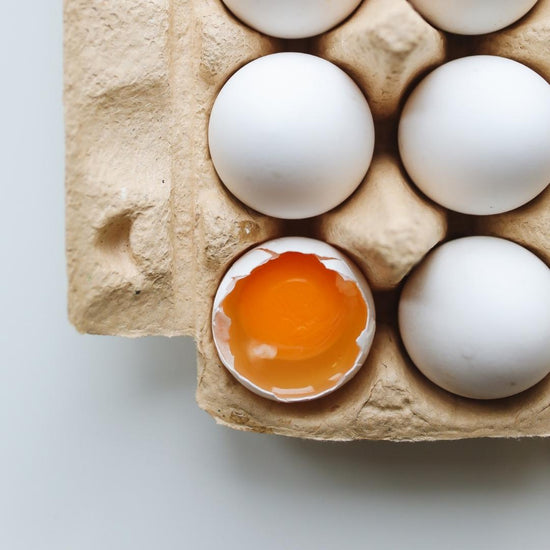 Hva er protein, egg